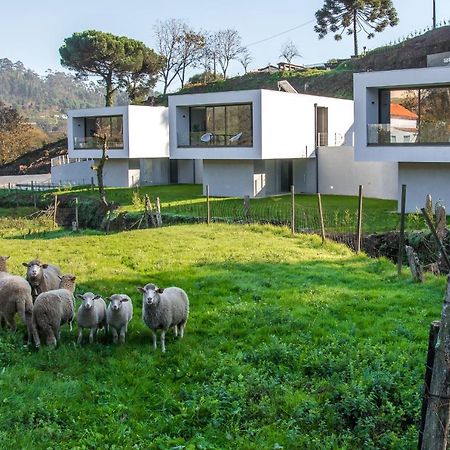 Viana Do Castelo - Amonde Village - Casa L - Disfrute Da Natureza 外观 照片