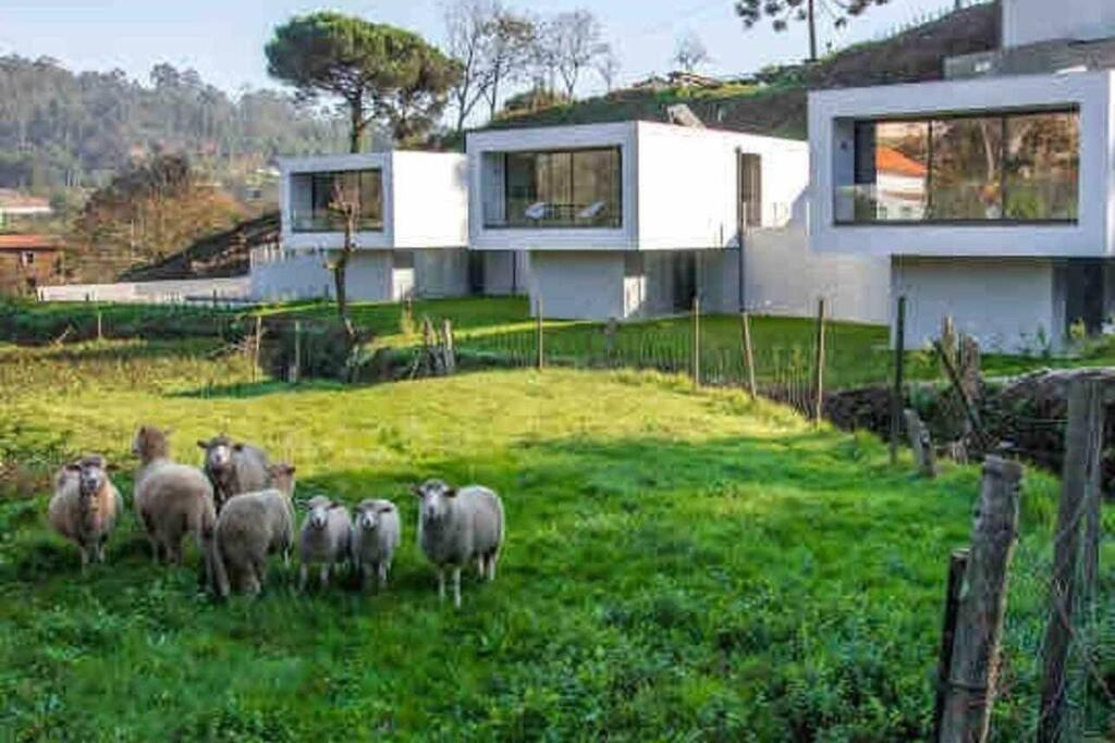 Viana Do Castelo - Amonde Village - Casa L - Disfrute Da Natureza 外观 照片