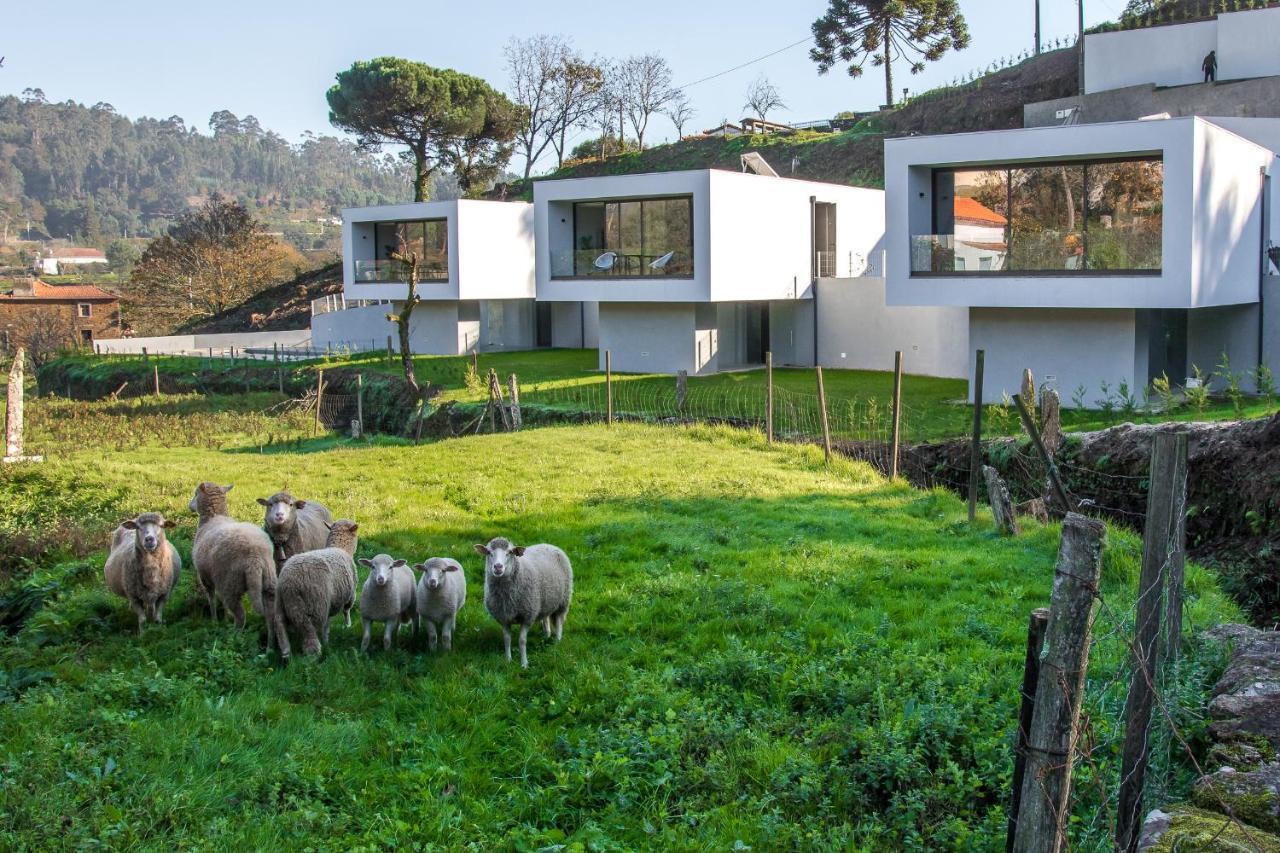 Viana Do Castelo - Amonde Village - Casa L - Disfrute Da Natureza 外观 照片